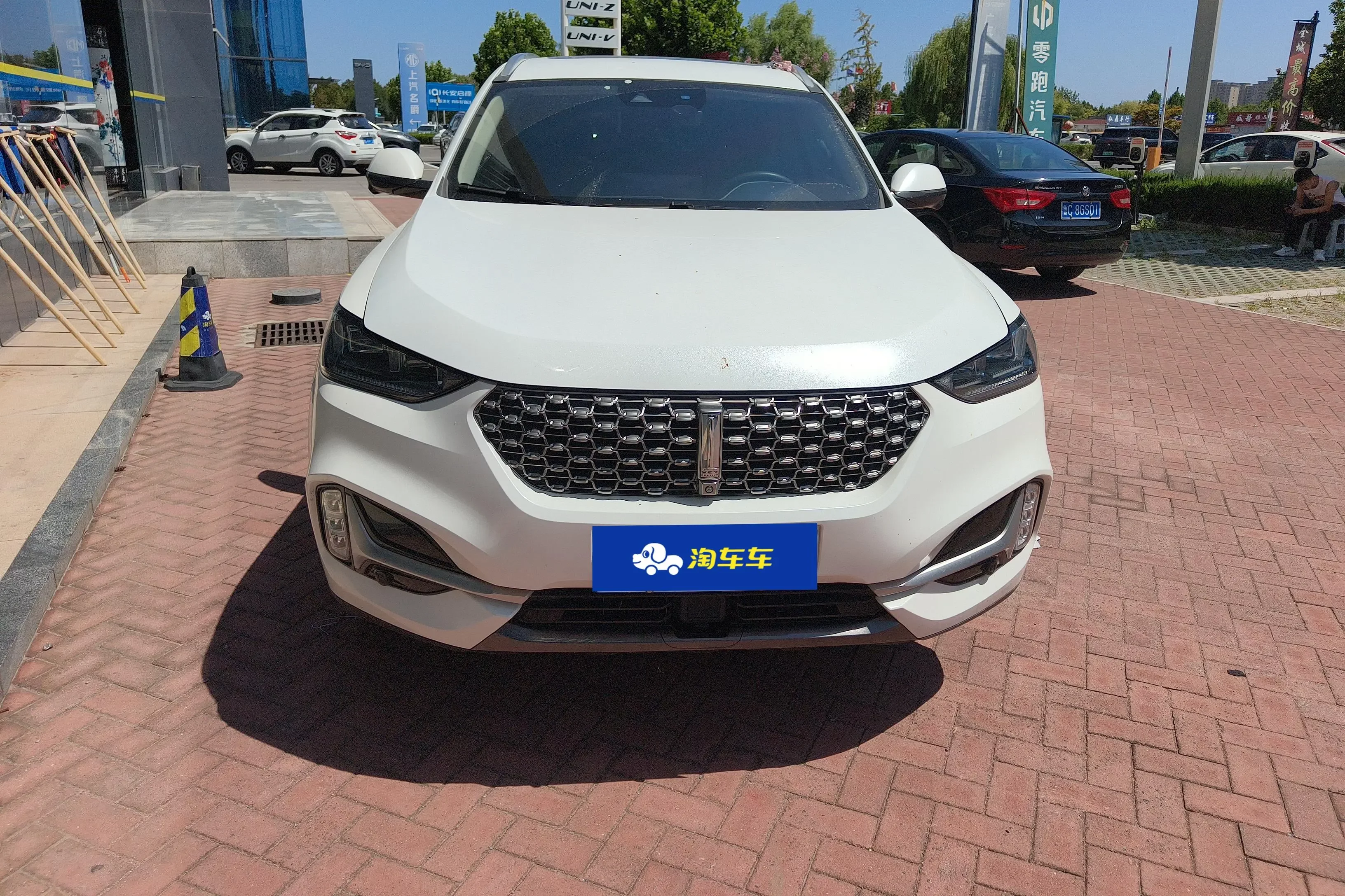 Wey Wei brand VV6