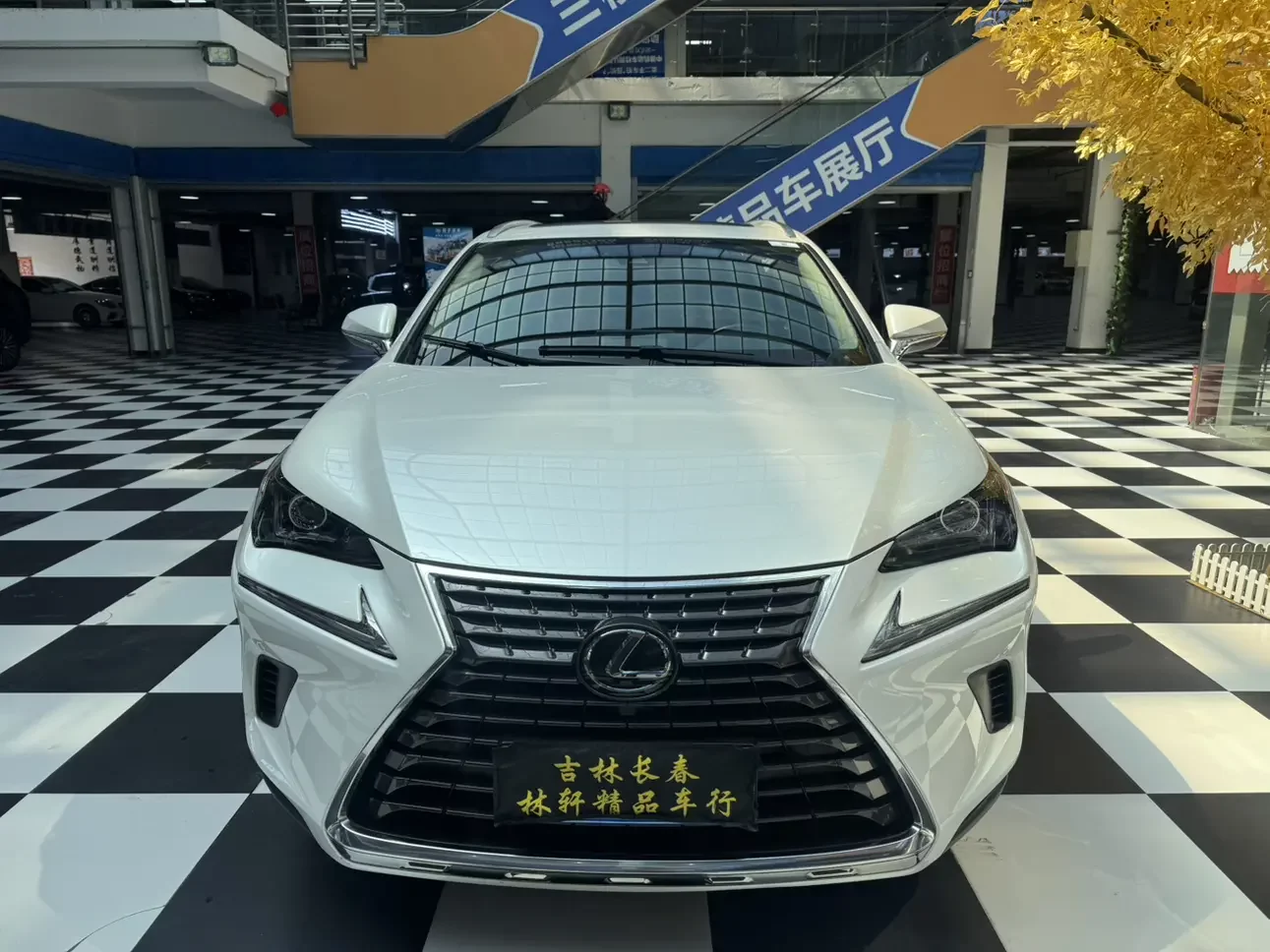 Lexus NX