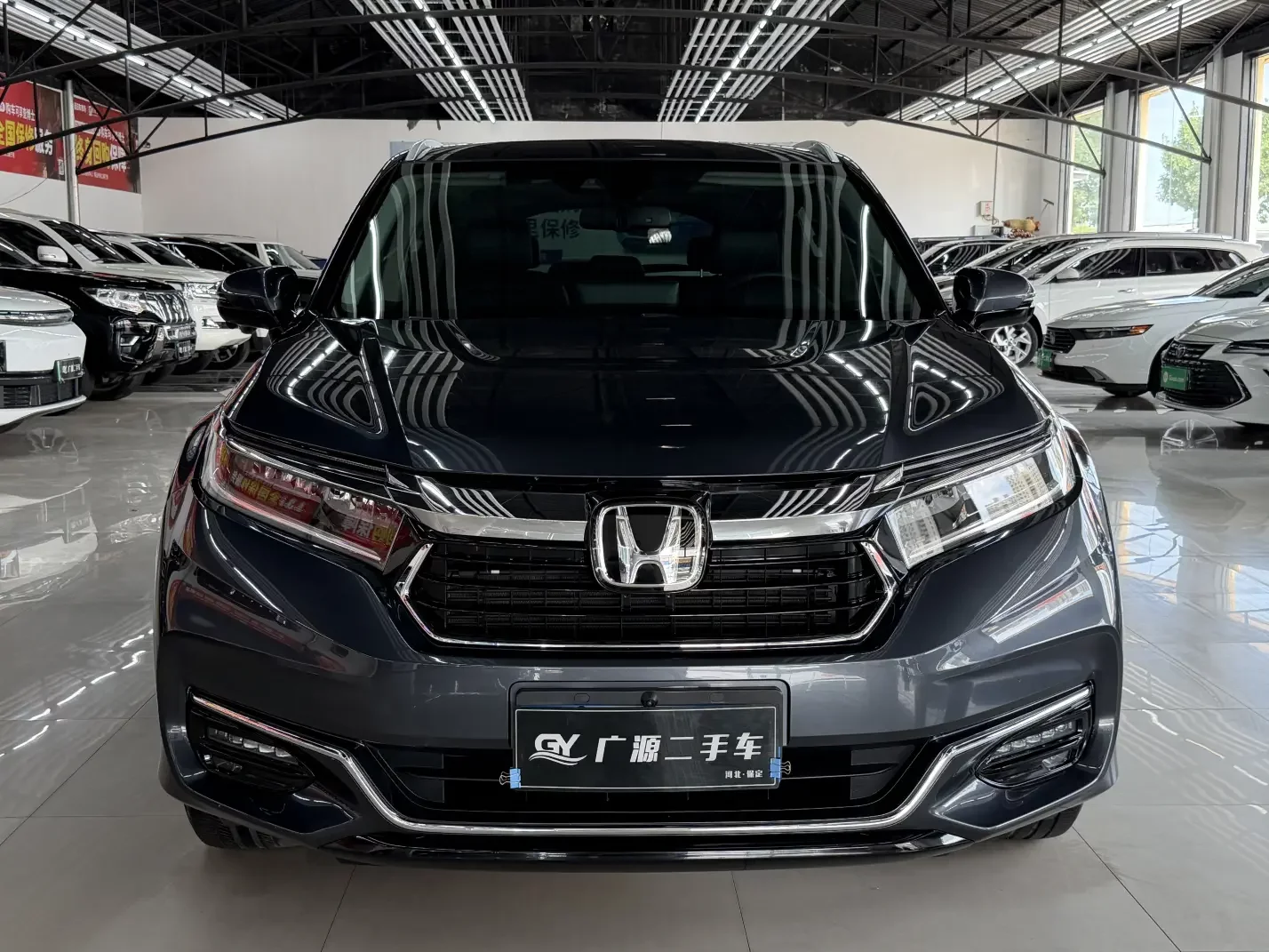 Honda Avancier (Crown Road)