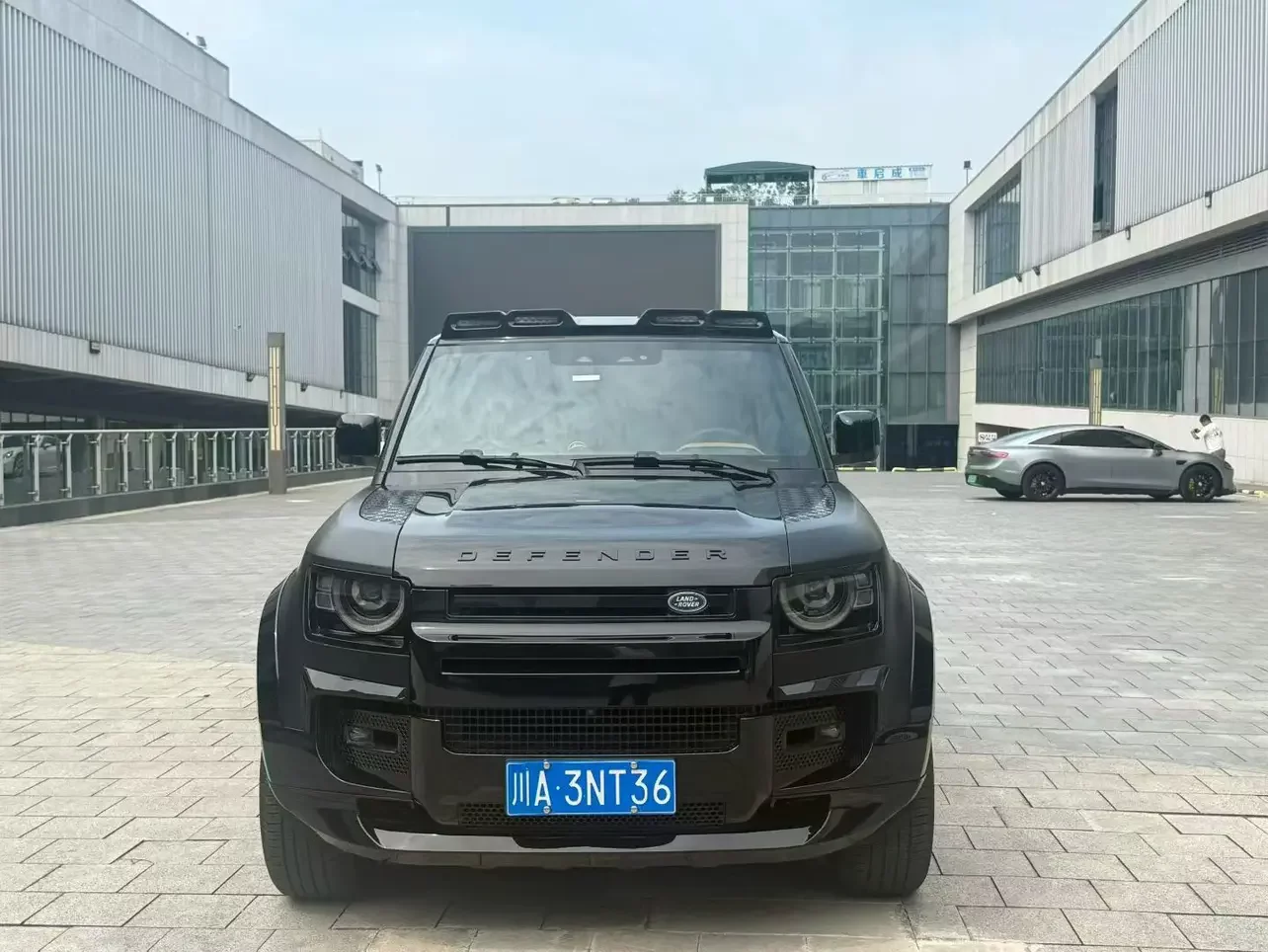Land Rover guard