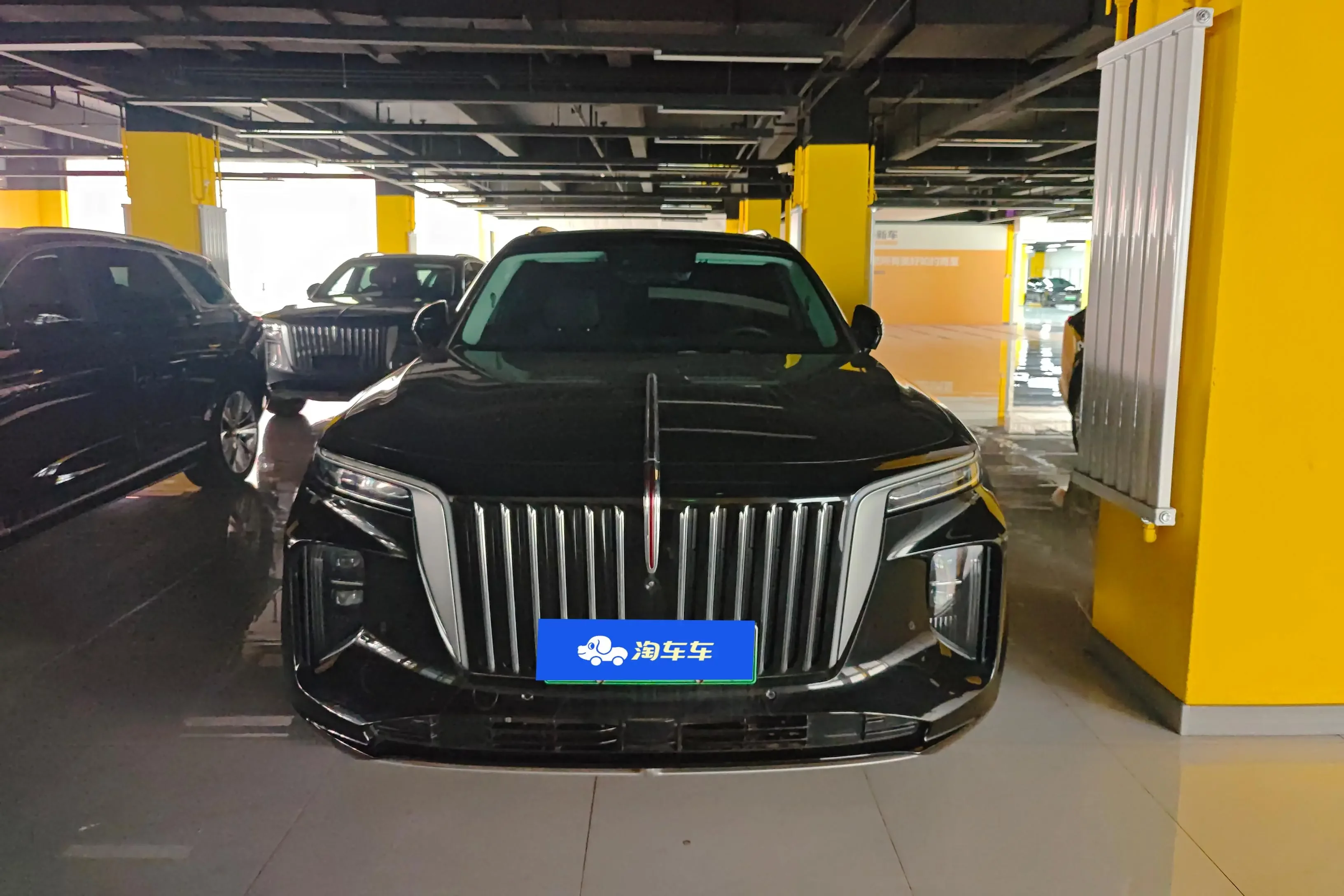 Hongqi E-HS9