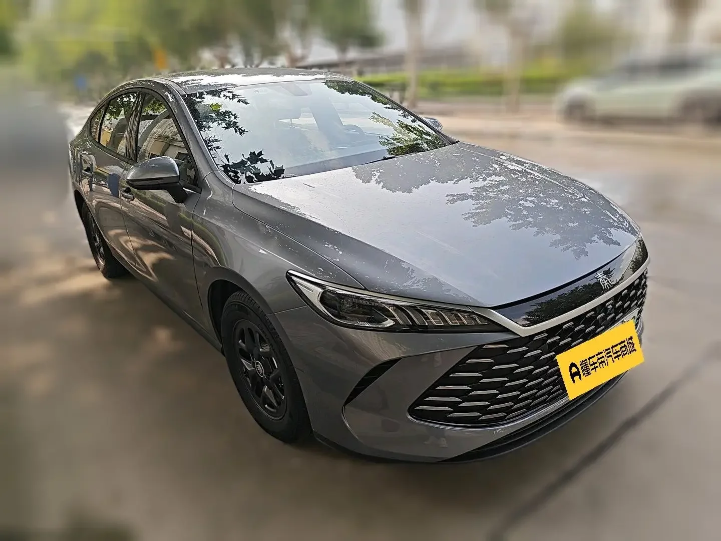 BYD Qin PLUS DM