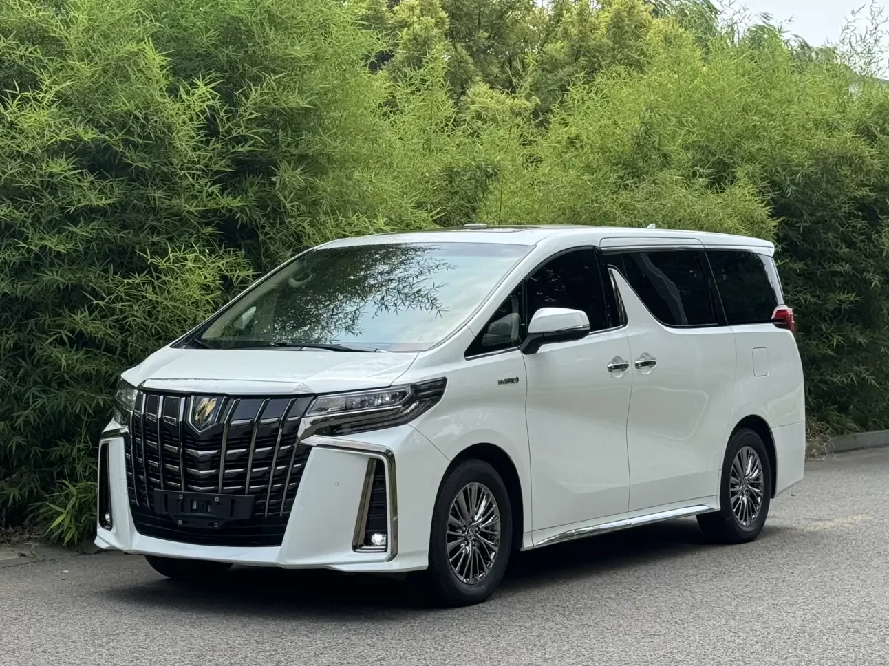 Toyota Alphard (Elfa)