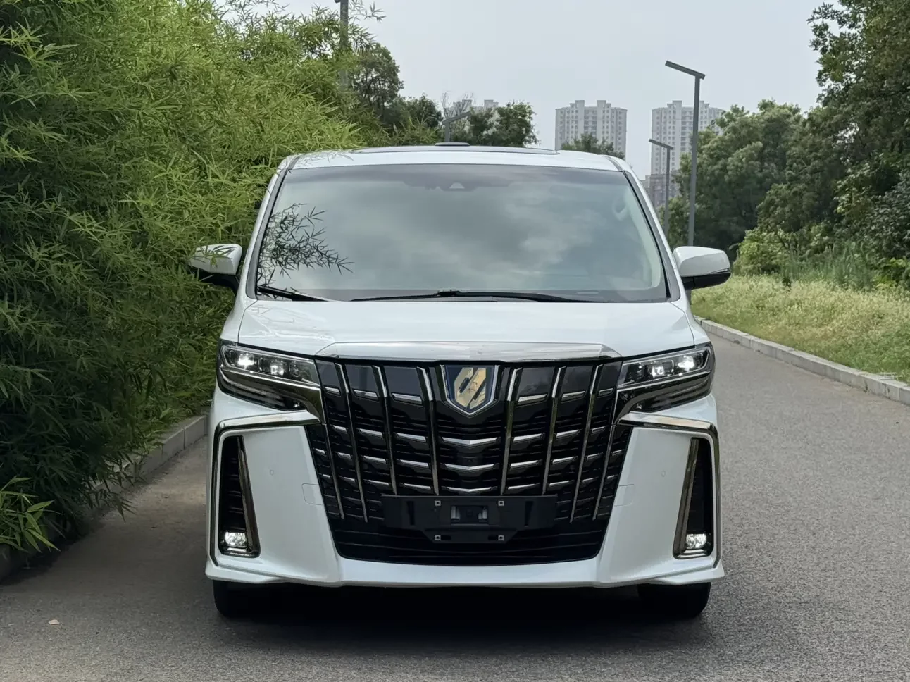 Toyota Alphard (Elfa)
