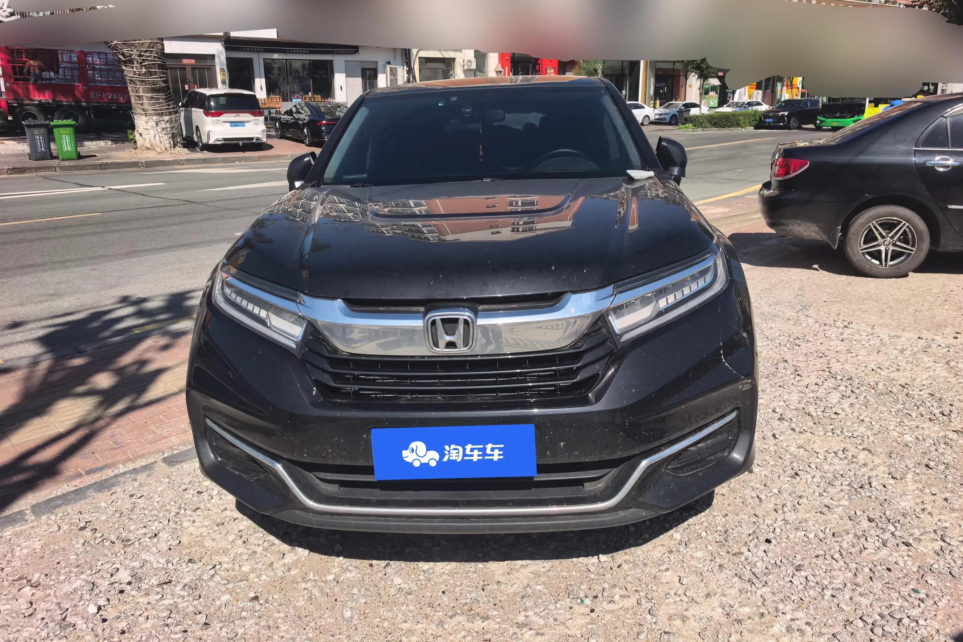 Honda Avancier (Crown Road)