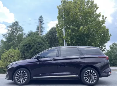 Wuling Capgemini Victory