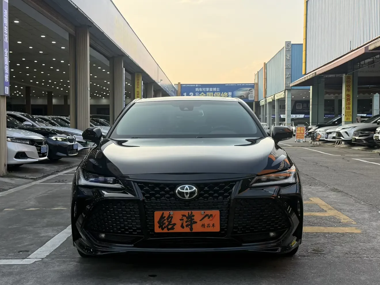 Toyota Avalon (asian dragon)