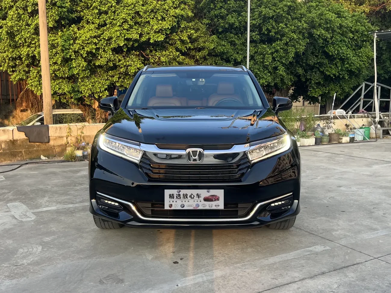 Honda Avancier (Crown Road)