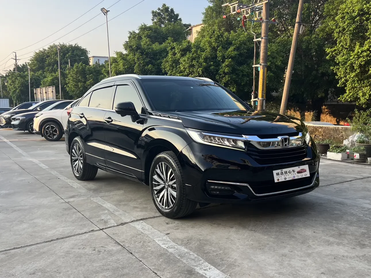 Honda Avancier (Crown Road)