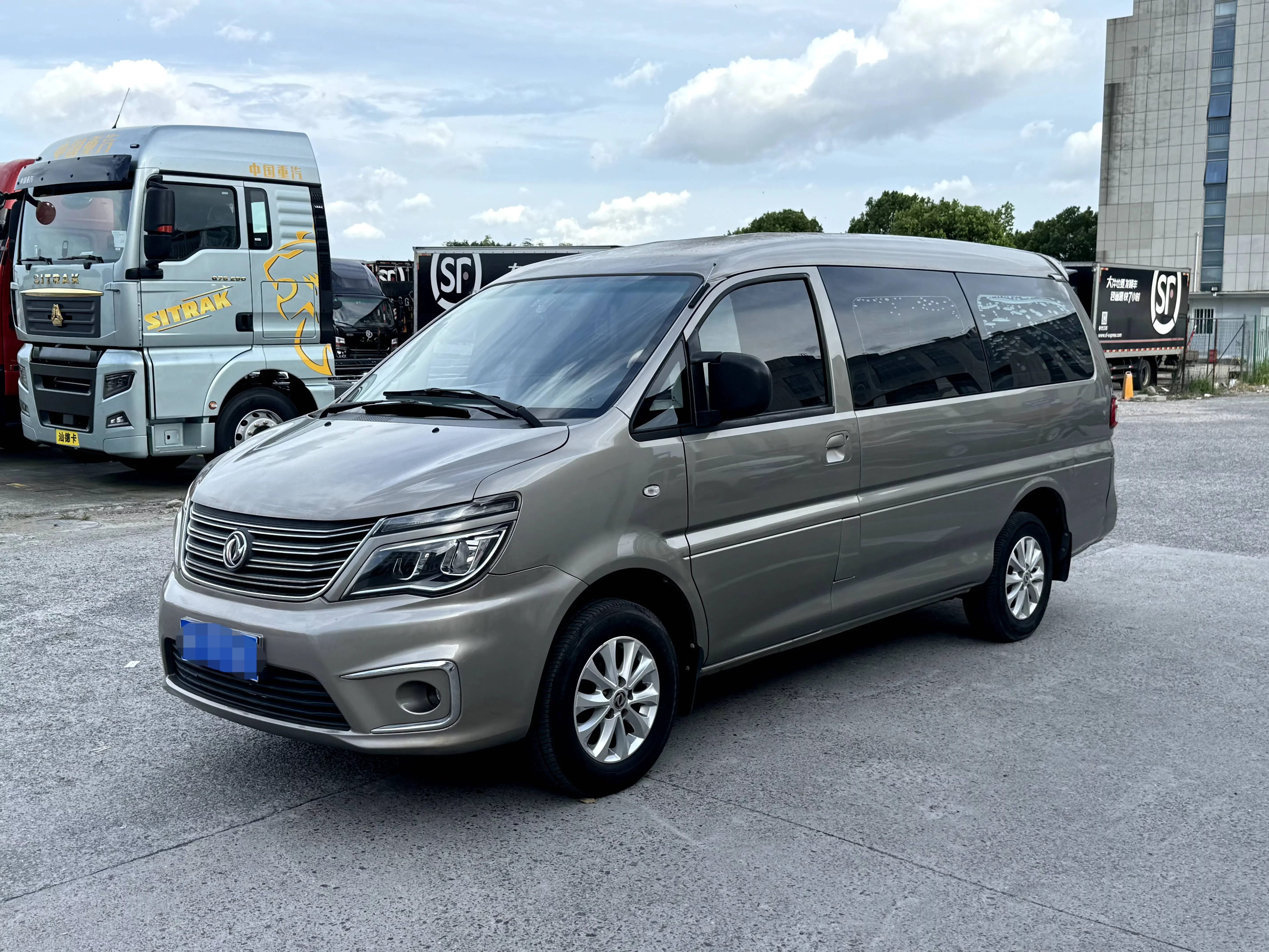 Forthing Lingzhi