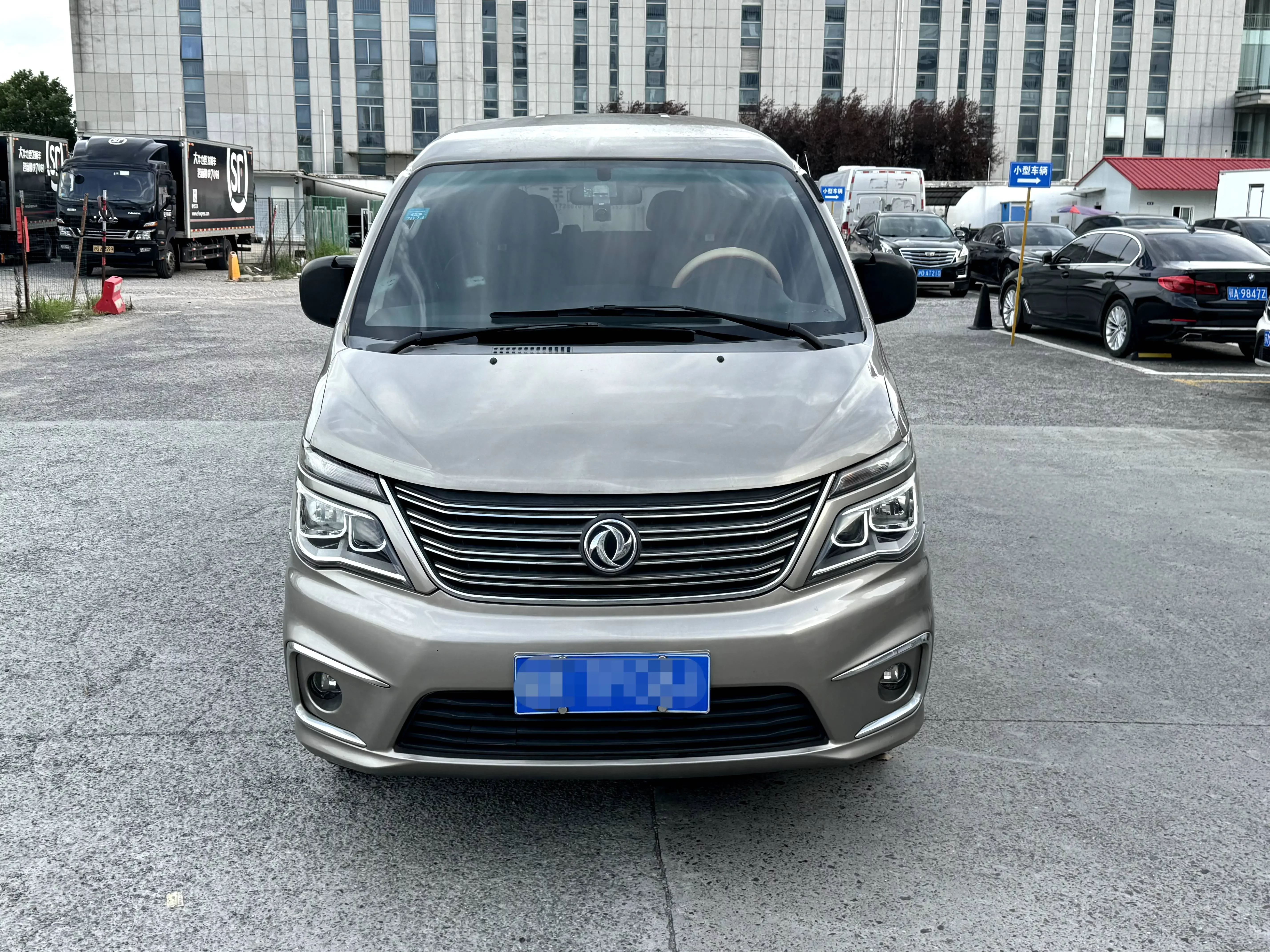 Forthing Lingzhi
