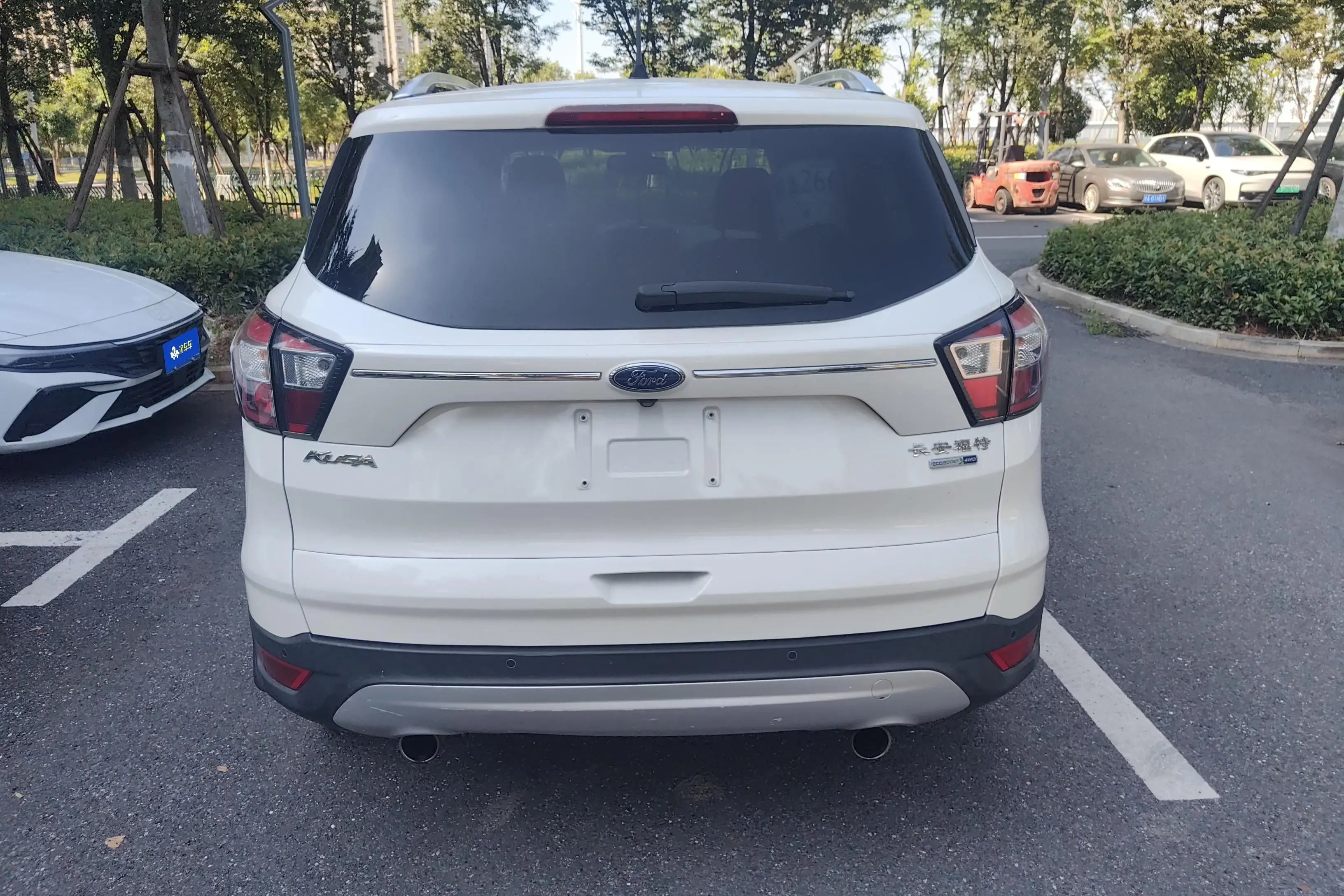 Ford wing tiger