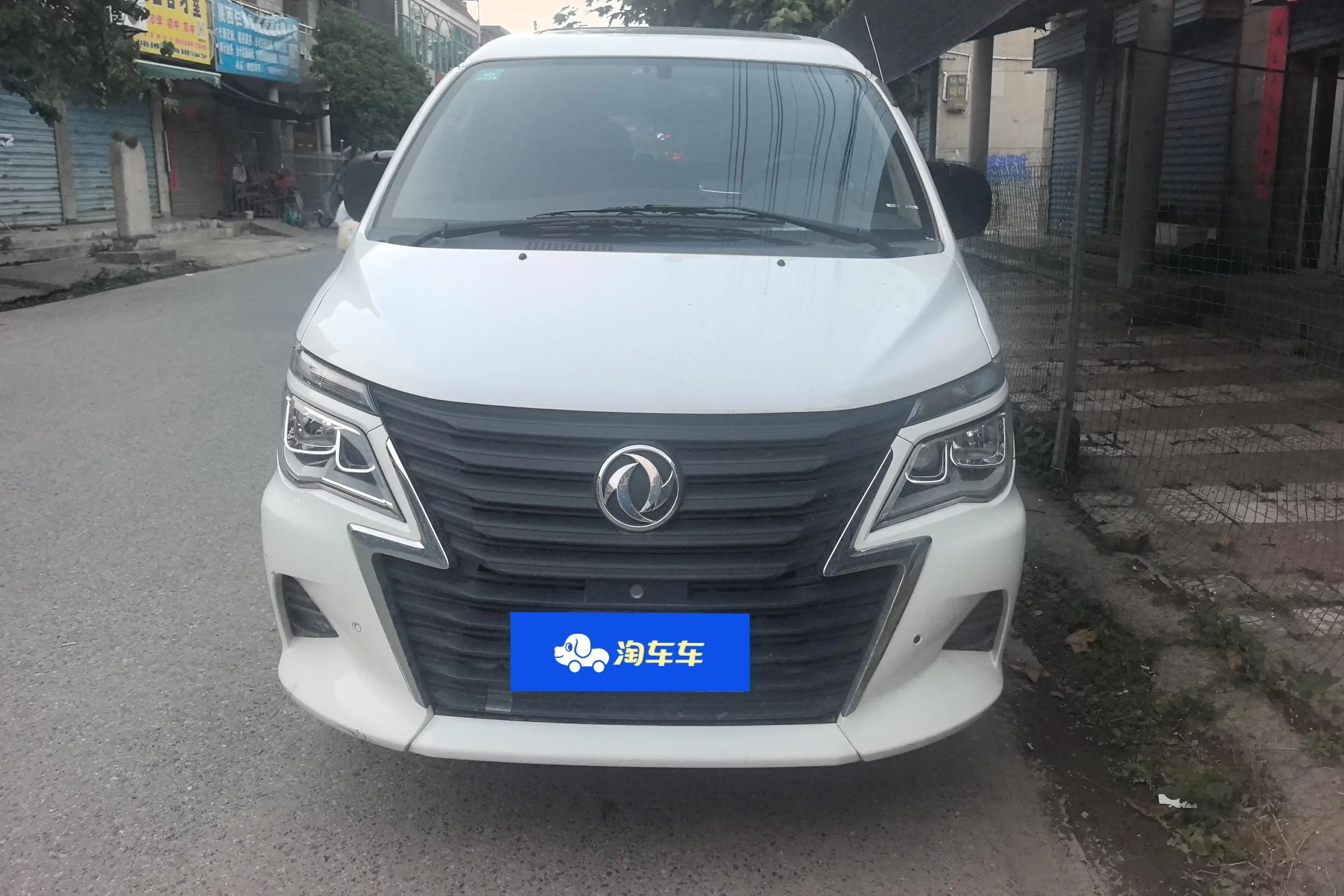 Forthing Lingzhi