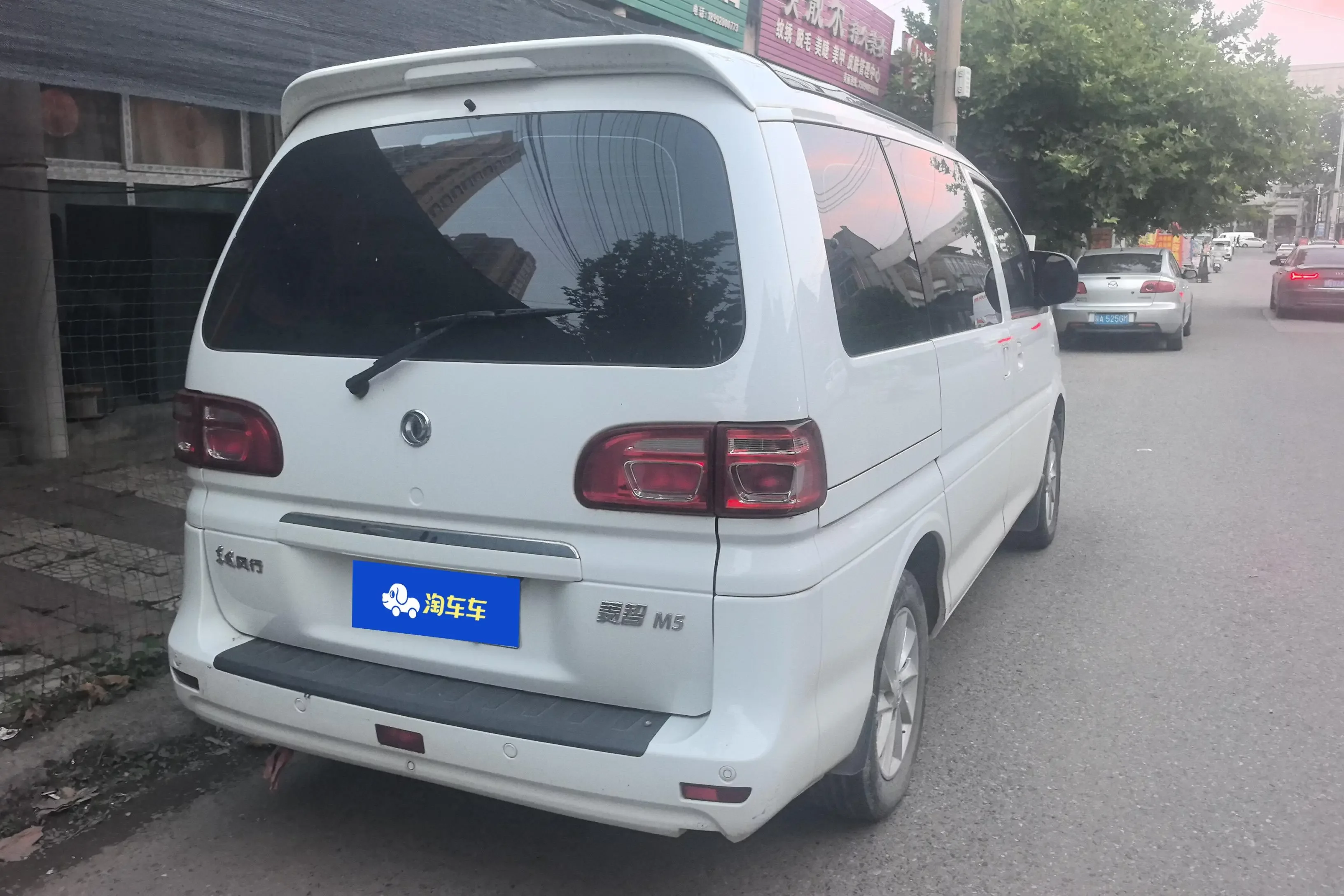 Forthing Lingzhi