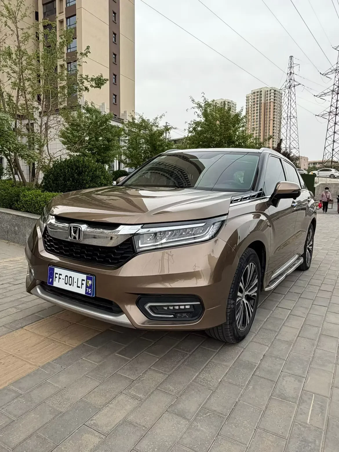 Honda Avancier (Crown Road)