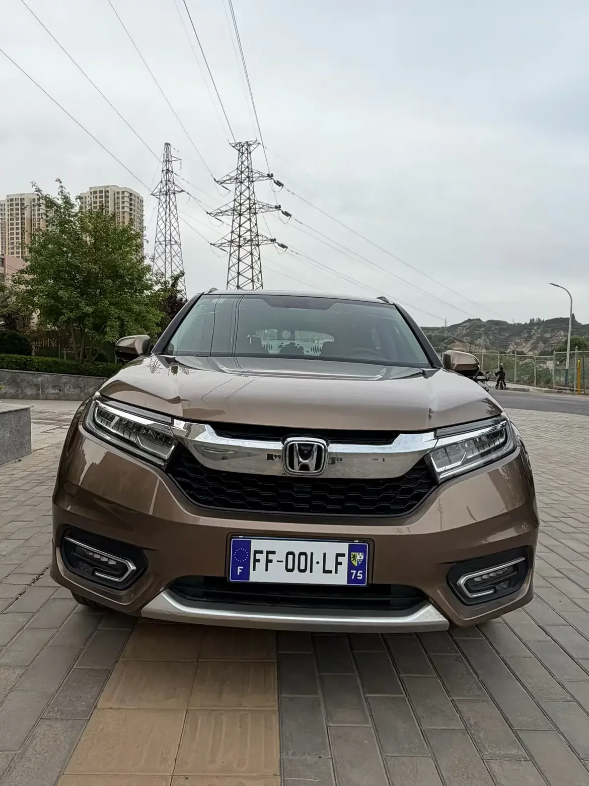 Honda Avancier (Crown Road)