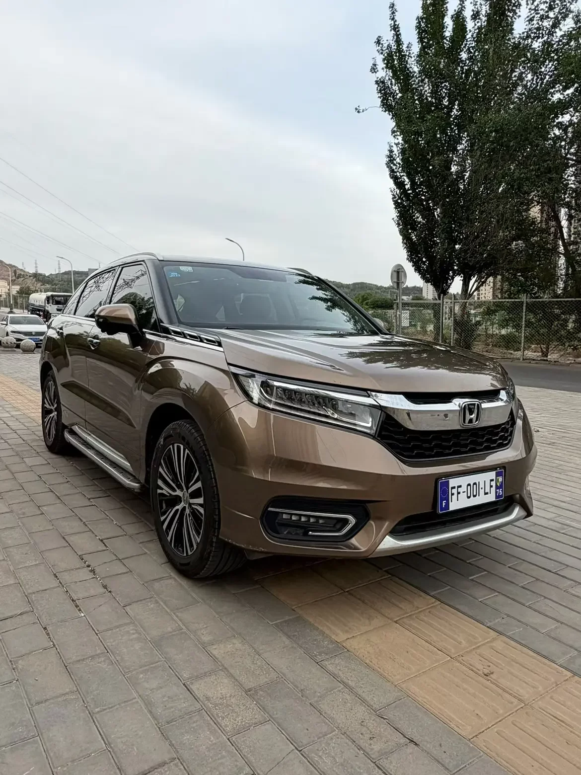 Honda Avancier (Crown Road)