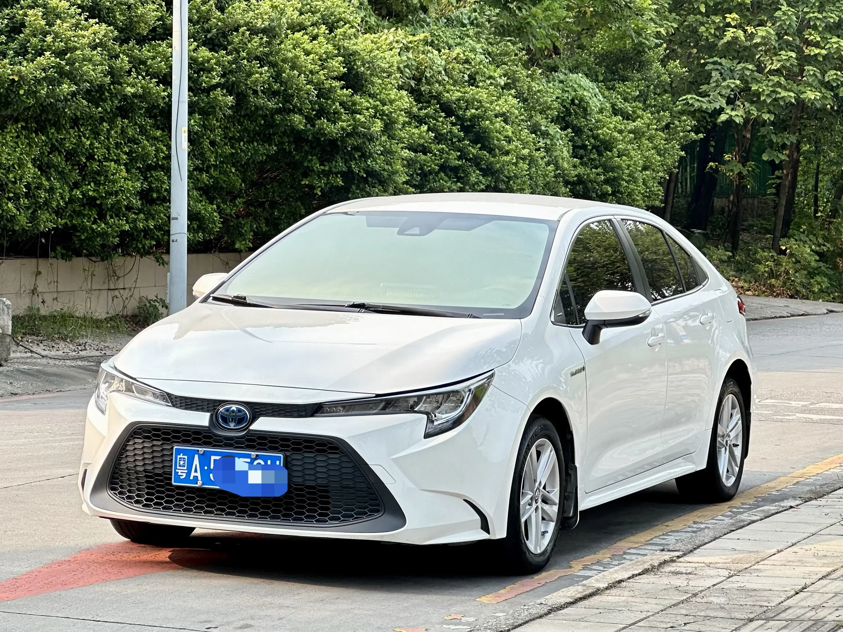 Toyota Levin (Lei Ling)