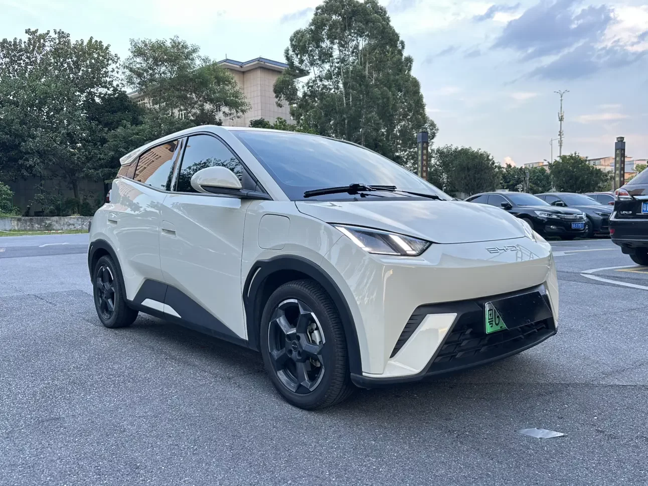 BYD seagull