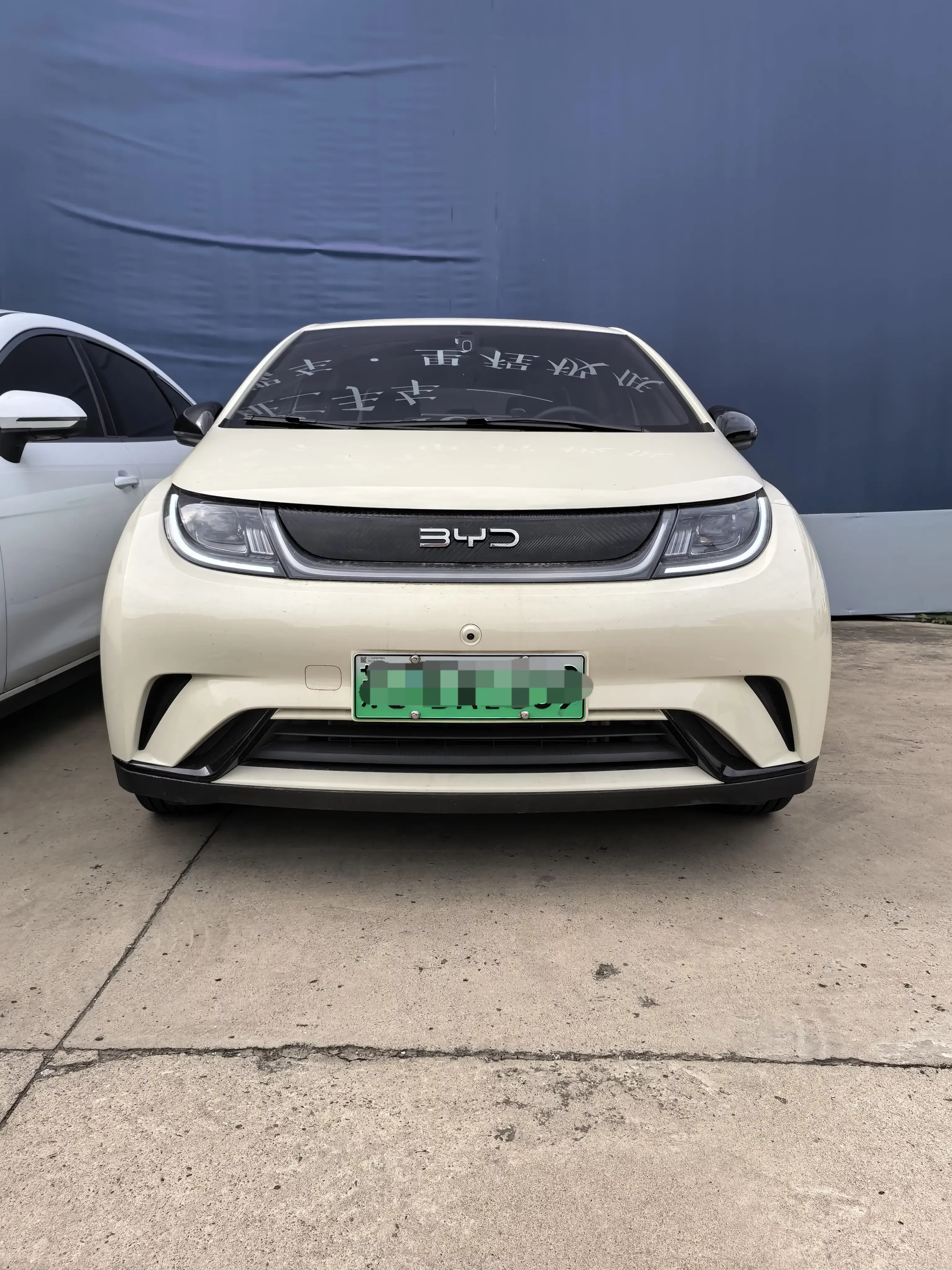 BYD dolphin