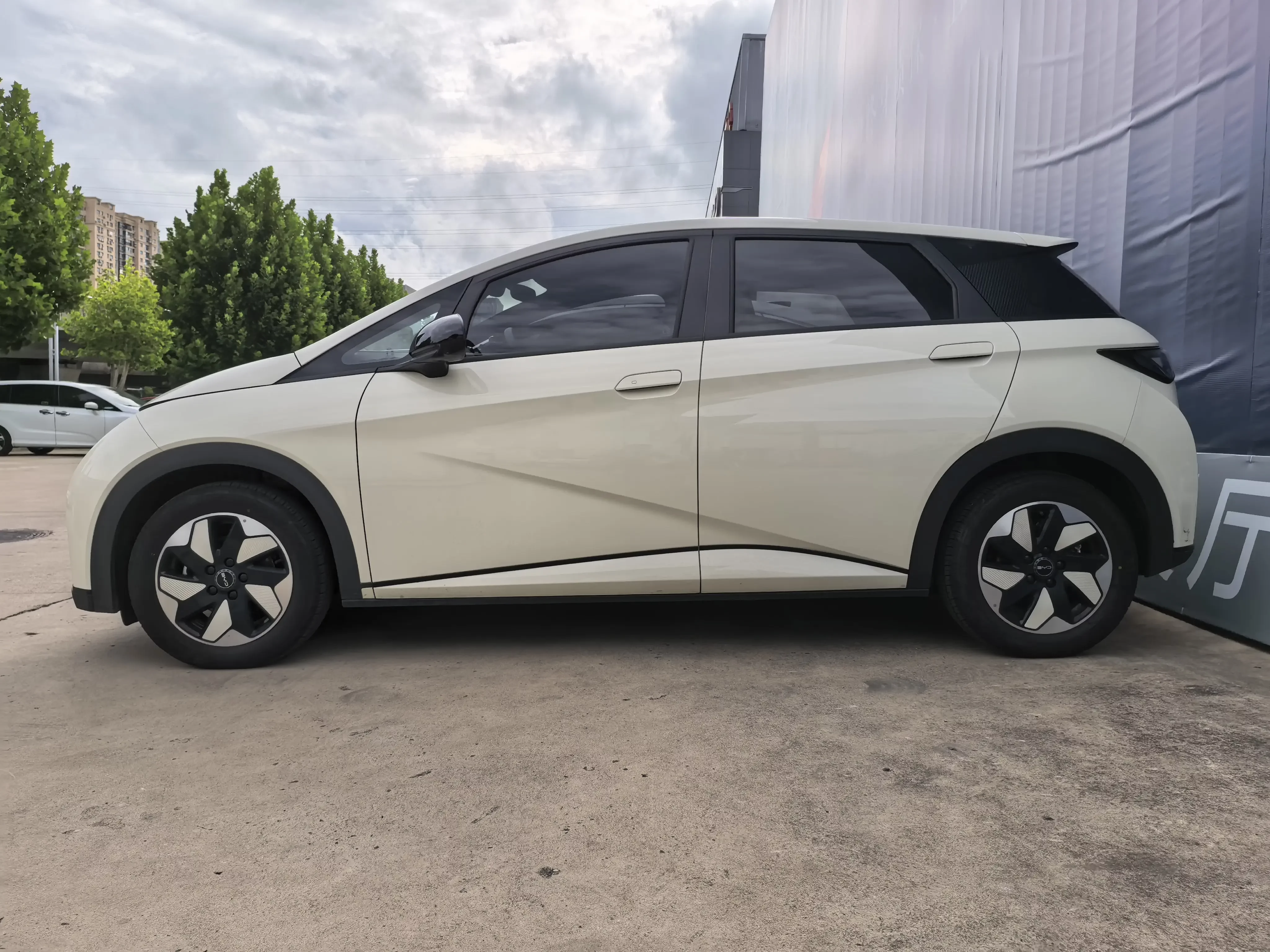 BYD dolphin