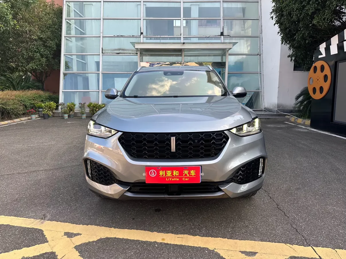 Wey Wei brand VV6