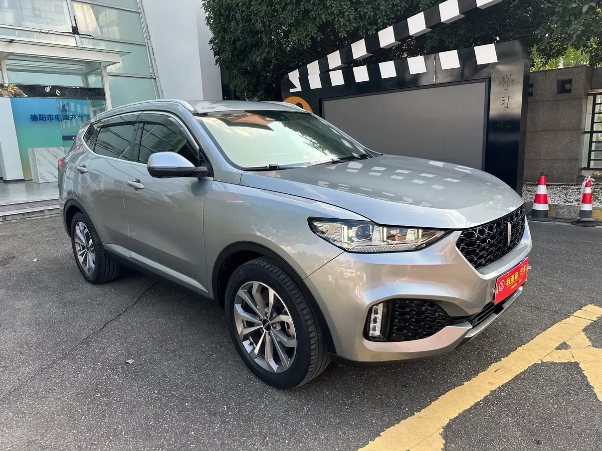 Wey Wei brand VV6