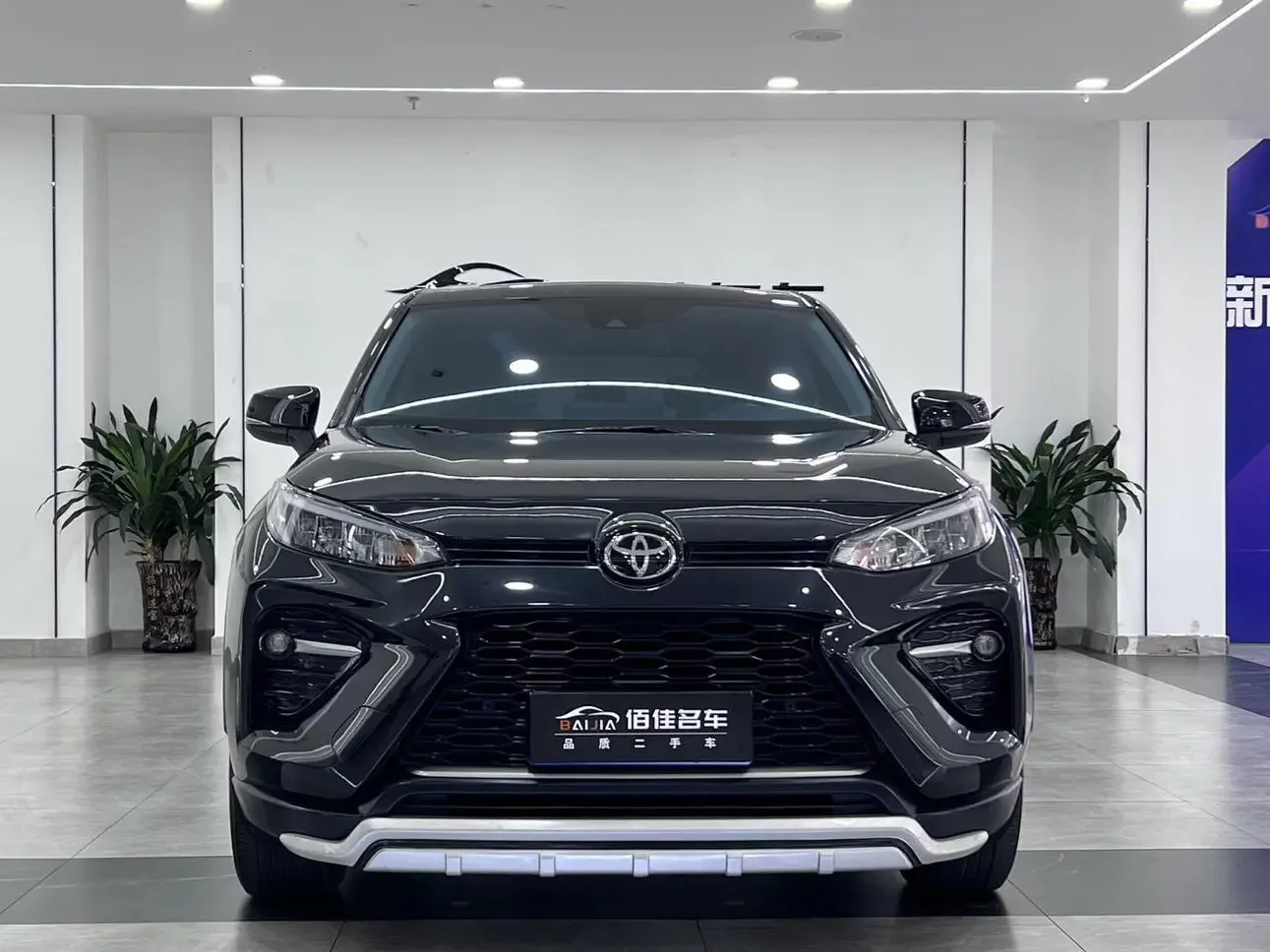 Toyota Willanda
