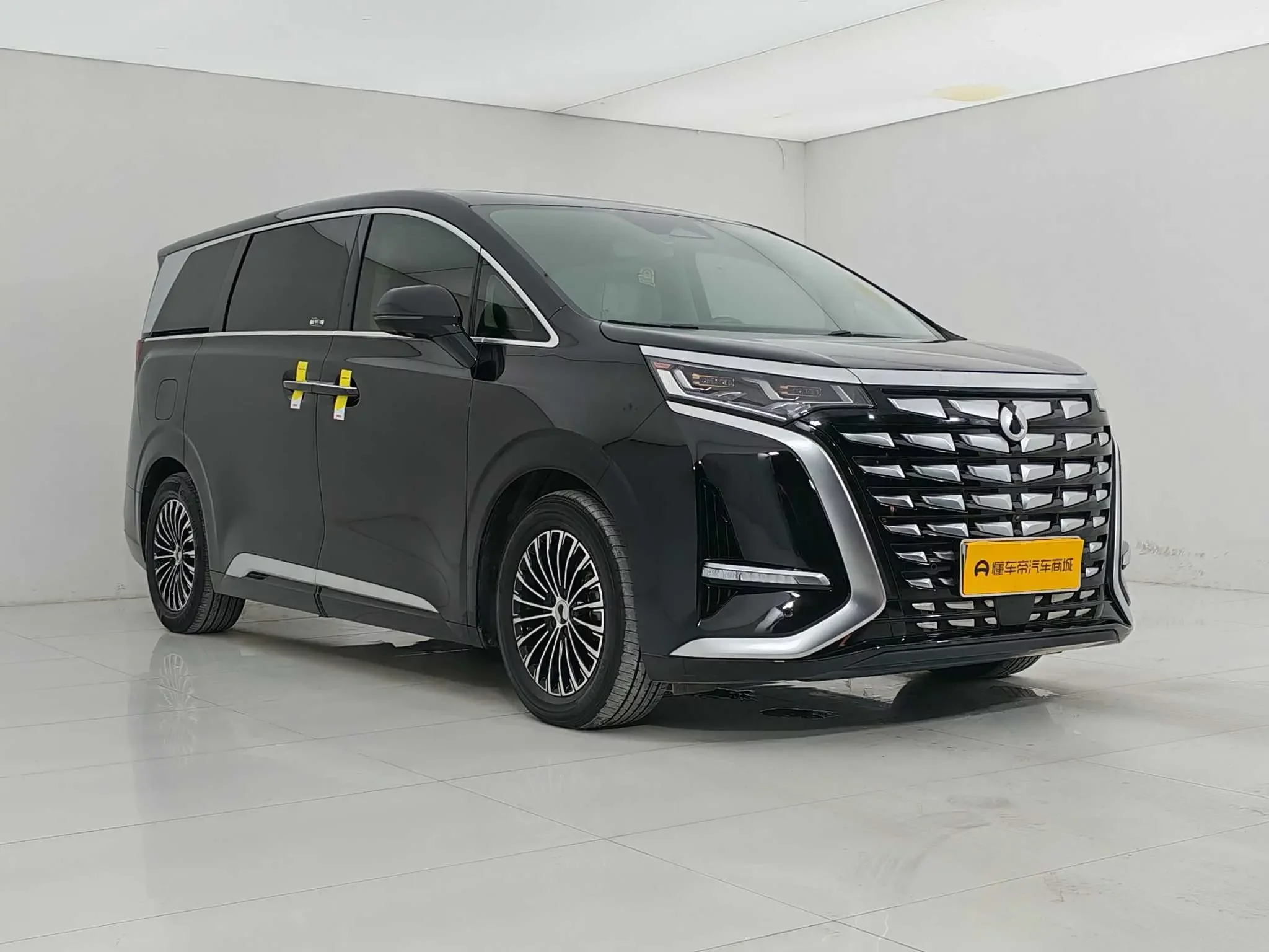 Denza D9 DM