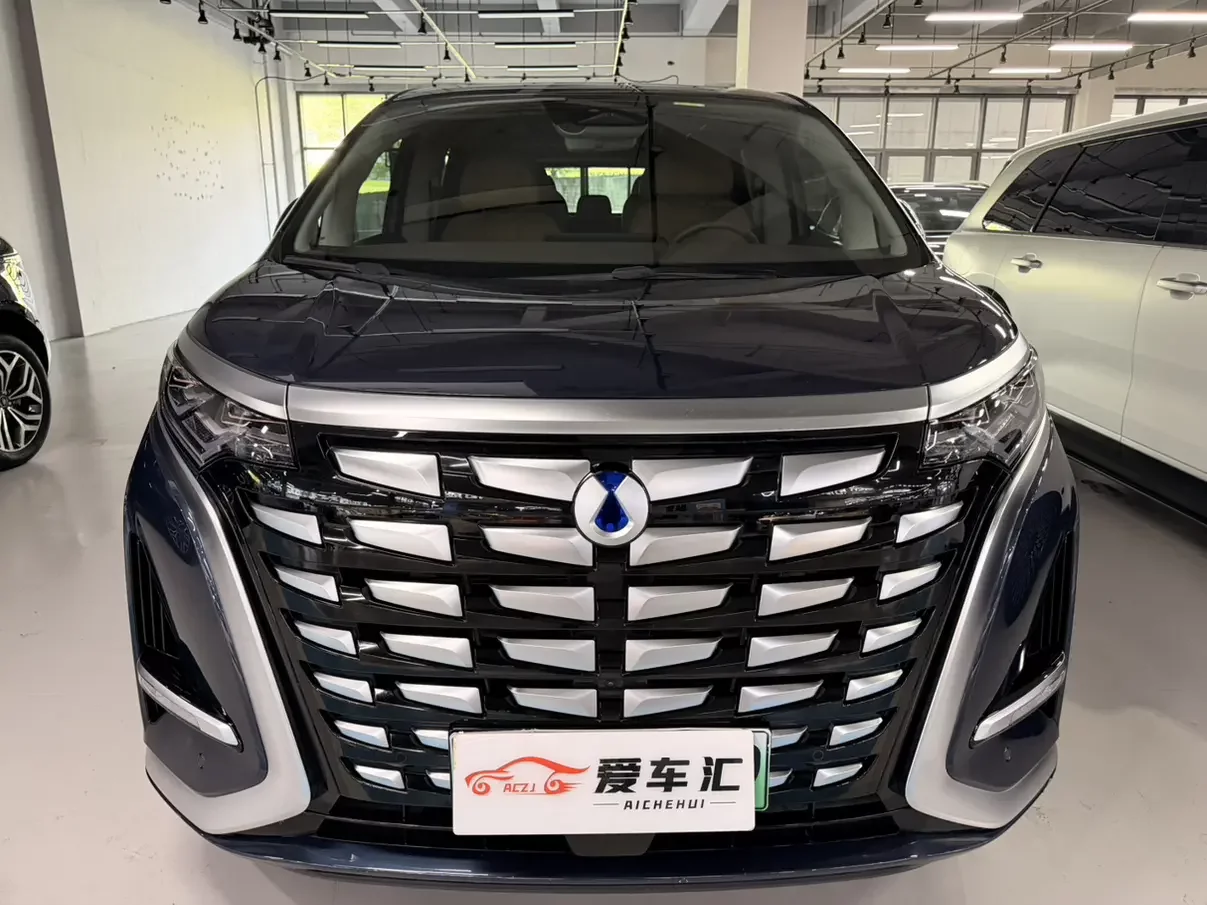 Denza D9 DM