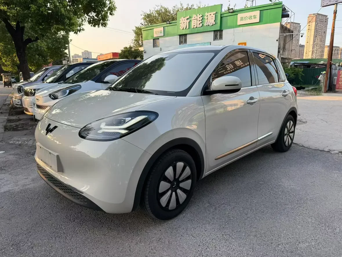Wuling Bingo