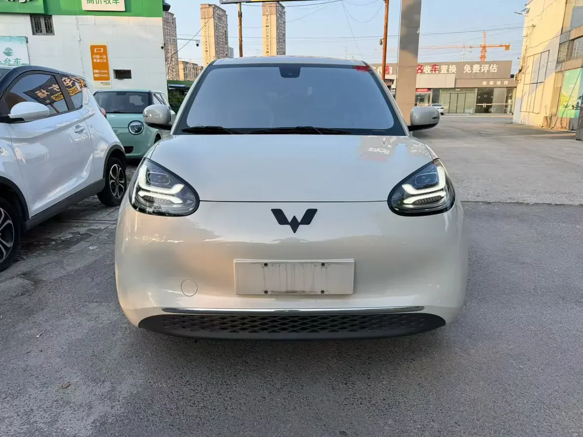 Wuling Bingo