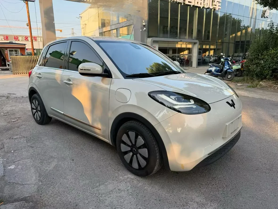 Wuling Bingo