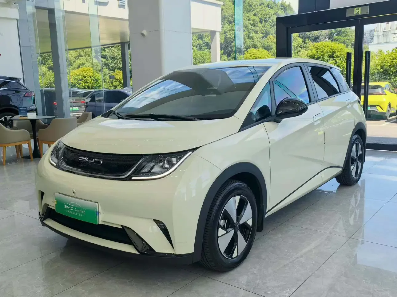 BYD dolphin