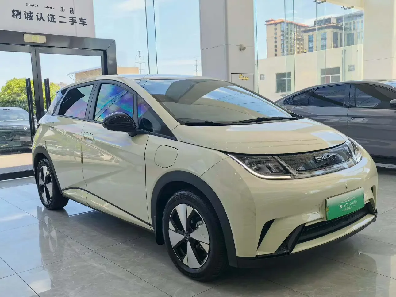 BYD dolphin