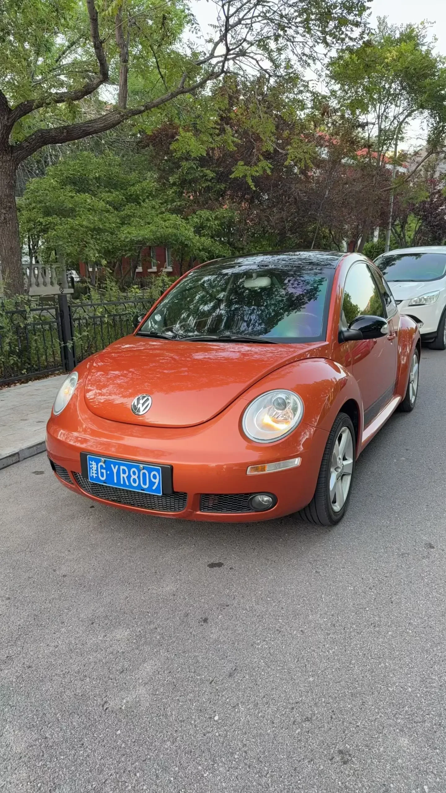 Volkswagen Beetle
