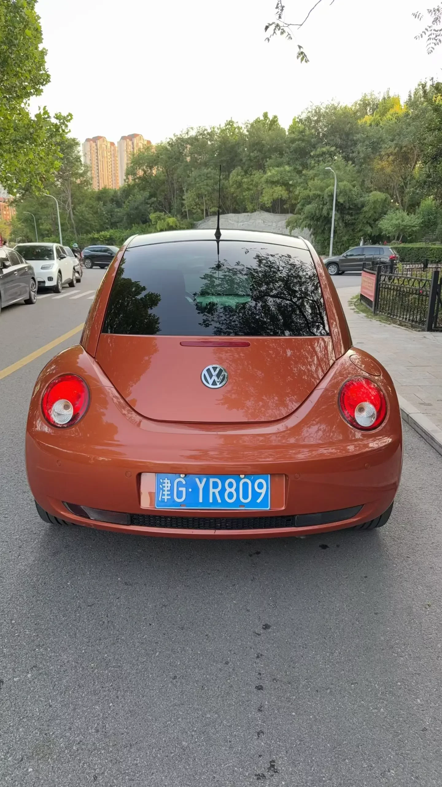 Volkswagen Beetle