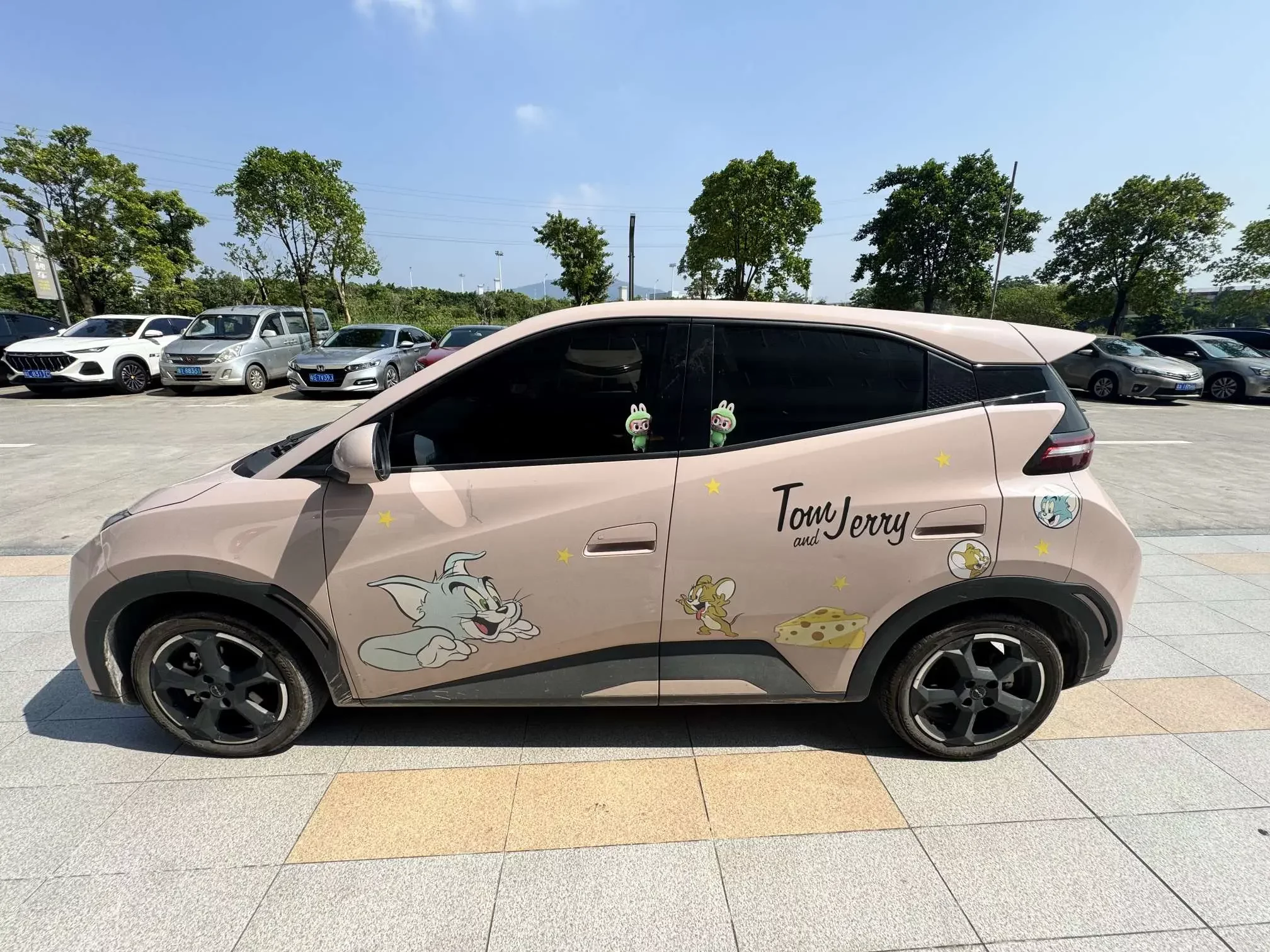 BYD seagull