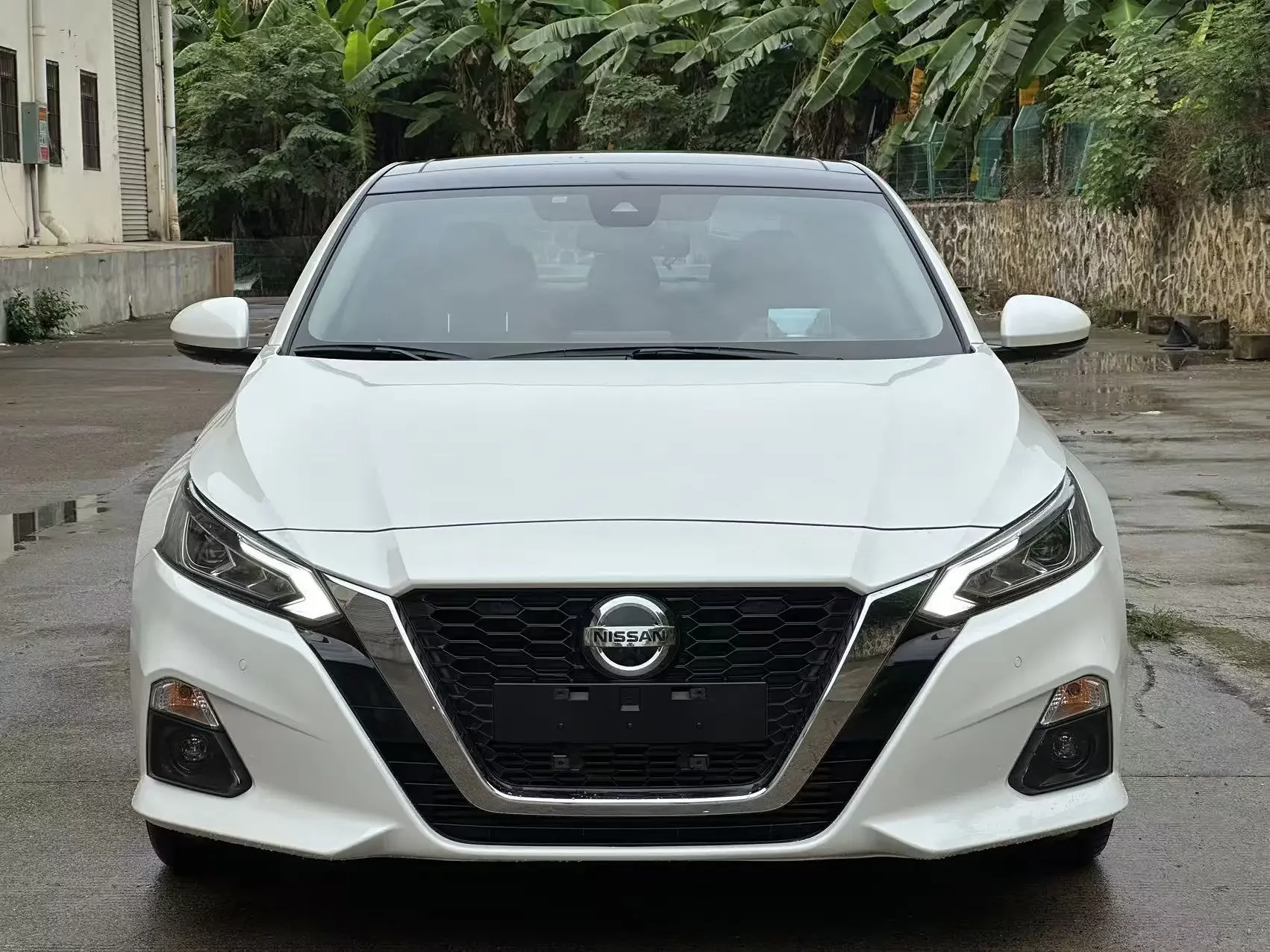 Nissan Altima (Teana)