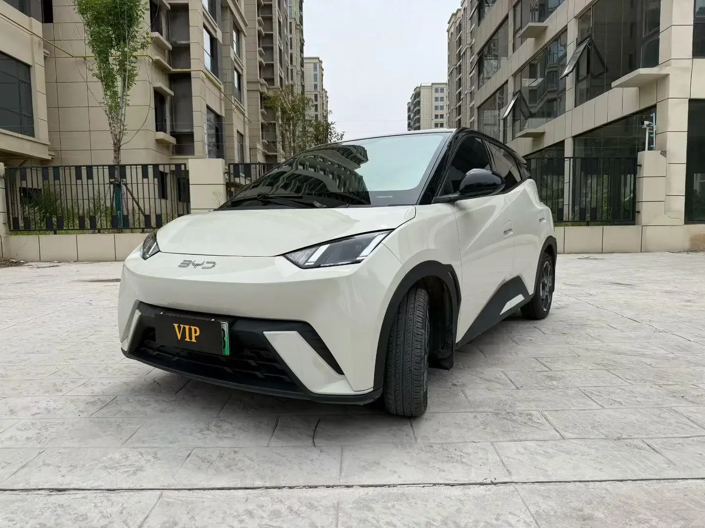 BYD seagull