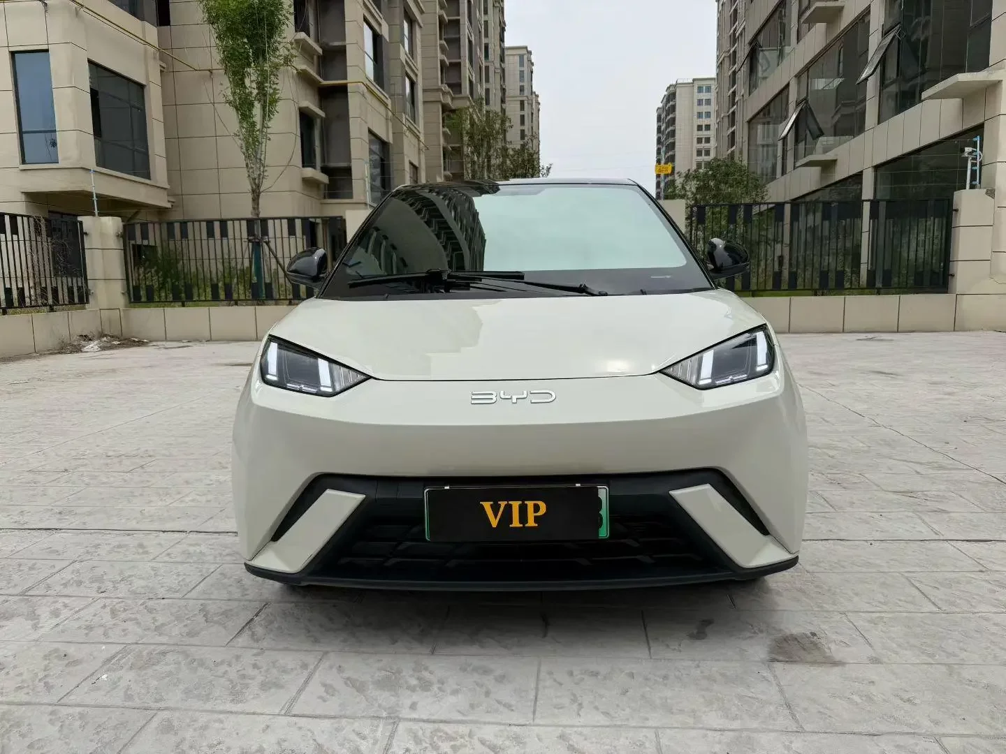 BYD seagull