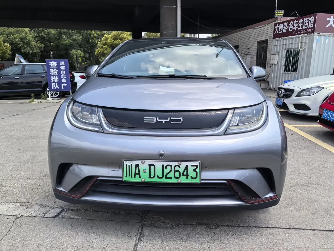 BYD dolphin