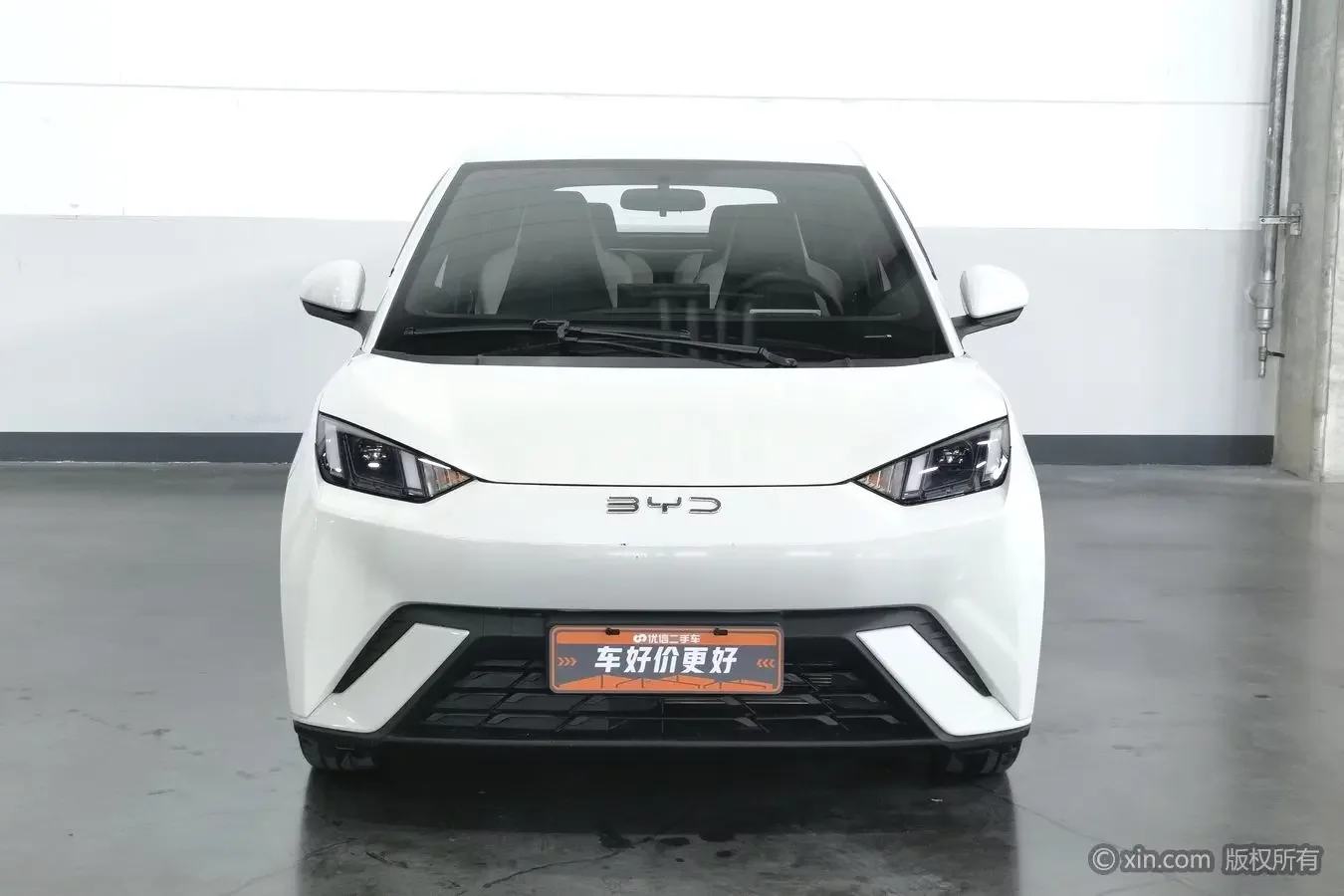 BYD seagull