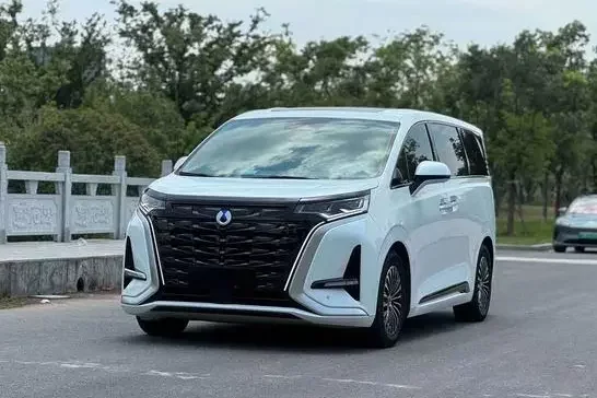 Denza D9 DM
