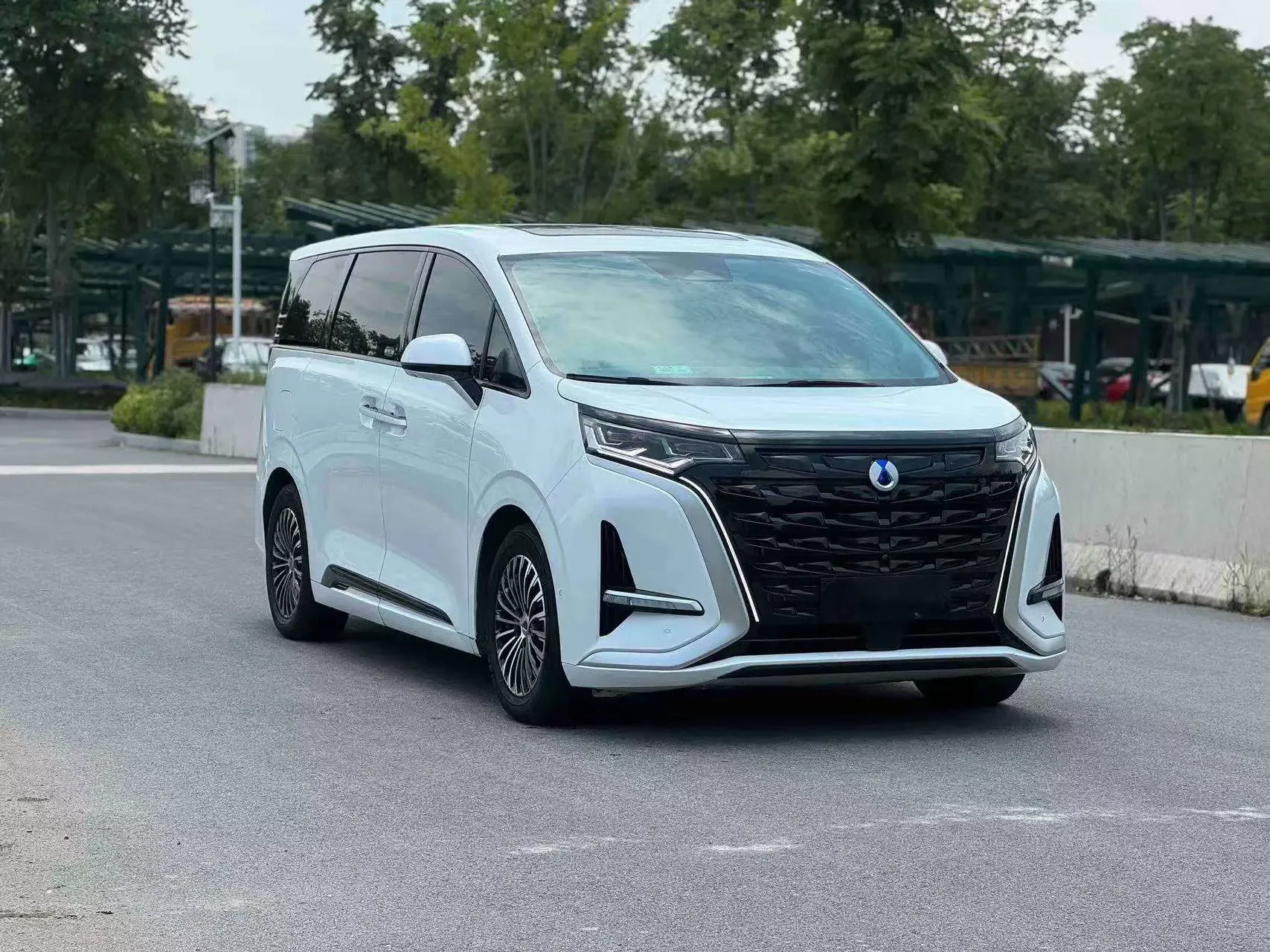 Denza D9 DM