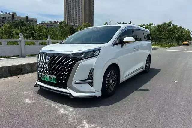 Denza D9 DM
