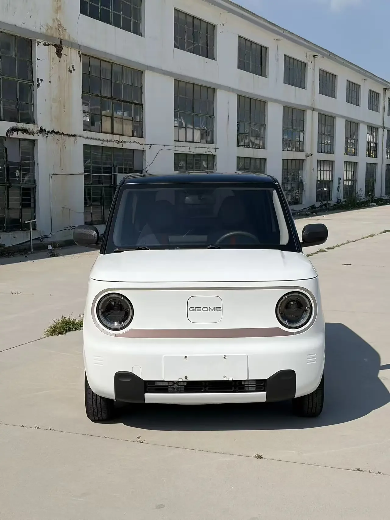 Geely panda