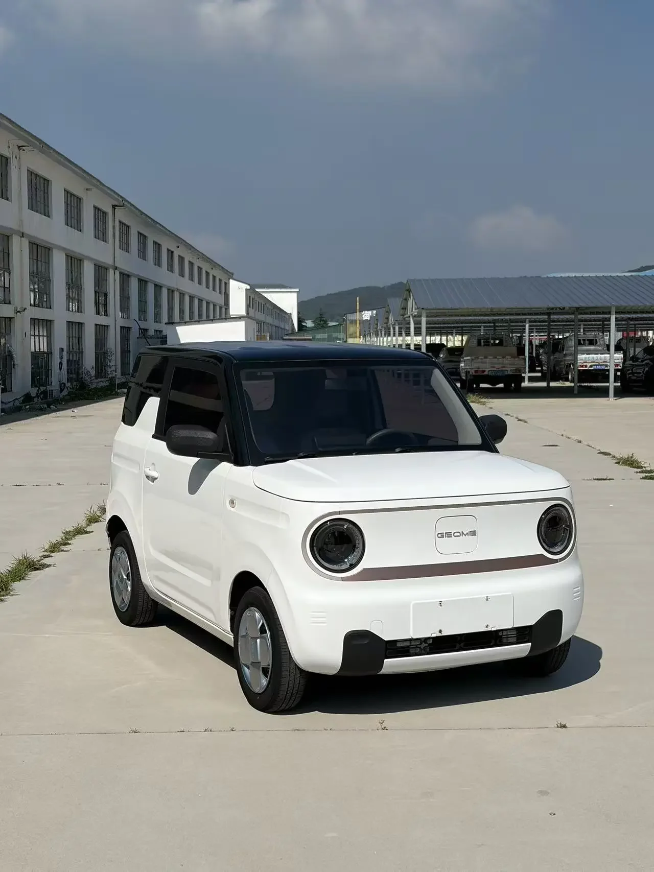 Geely panda
