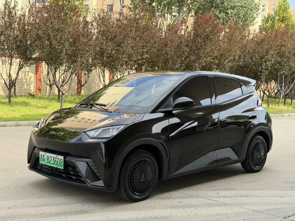 BYD seagull