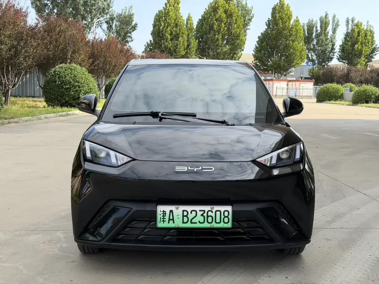 BYD seagull